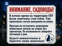 Про домашних животных! Про домашних животных!
