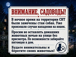 Про домашних животных!